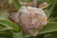 Natural Red Hematoid Quartz Specimens x 3 From Karoi, Zimbabwe - TopRock