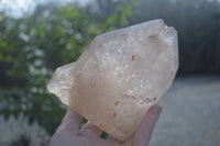 Polished Arcadian Quartz Crystals Points x 2 From Angola