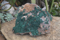 Natural Rare Ball Malachite On Drusy Quartz & Dolomite Matrix  x 1 From Kambove, Congo - Toprock Gemstones and Minerals 