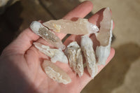 Natural Drusy Quartz Coated Fluorescent Calcite Spearhead Crystals x 21 From Alberts Mountain, Lesotho