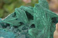 Natural Unique Dioptase & Bladed Malachite Specimen  x 1 From Likasi, Congo