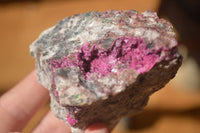 Natural Pink Salrose Cobaltion Dolomite Specimens x 6 From Kakanda, Congo