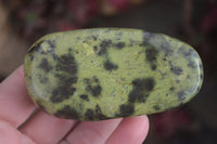 Polished Spotted Leopard Stone Free Forms  x 12 From Zimbabwe