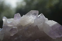 Natural Jacaranda Amethyst Clusters  x 3 From Mumbwa, Zambia - Toprock Gemstones and Minerals 