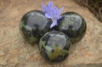 Polished Stromatolite / Kambamba Jasper Spheres  x 3 From Mahajanga, Madagascar - TopRock