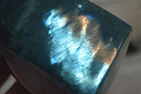 Polished Flashy Blue & Gold Labradorite Standing Free Forms x 2 From Madagascar - Toprock Gemstones and Minerals 