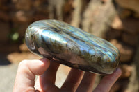 Polished Labradorite Standing Free Forms With Intense Blue Flash x 2 From Sakoany, Madagascar - TopRock