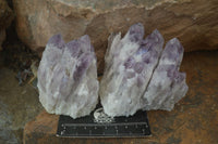 Natural Sugar Amethyst Clusters  x 4 From Solwezi, Zambia