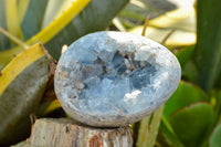 Polished Blue Celestite Crystal Eggs  x 2 From Sakoany, Madagascar - TopRock