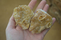 Natural Limonite Quartz Clusters x 12 From Solwezi, Zambia