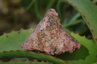 Natural Rough Red Rhodonite Specimens x 6 From Zimbabwe