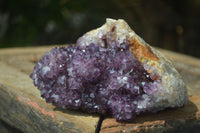 Natural Stunning Rare Deep Purple Spirit Amethyst Cluster  x 1 From Boekenhouthoek, South Africa - Toprock Gemstones and Minerals 