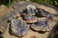 Natural Amethyst In Basalt Geode Specimens  x 6 From Zululand, South Africa - TopRock