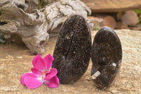 Polished Septaria (Calcite & Aragonite) Standing Free Forms  x 2 From Mahajanga, Madagascar - TopRock