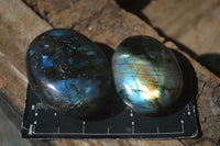 Polished Flashy Labradorite Palm Stones  x 12 From Tulear, Madagascar - Toprock Gemstones and Minerals 