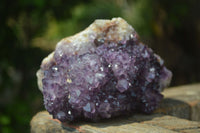 Natural Stunning Rare Deep Purple Spirit Amethyst Cluster  x 1 From Boekenhouthoek, South Africa - Toprock Gemstones and Minerals 