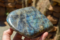 Polished Labradorite Standing Free Forms With Intense Blue Flash x 2 From Sakoany, Madagascar - TopRock