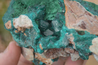 Natural Unique Dioptase & Bladed Malachite Specimen  x 1 From Likasi, Congo