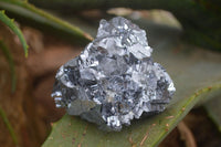 Natural Rare Silver Lead Galena Specimens  x 6 From Namibia - Toprock Gemstones and Minerals 