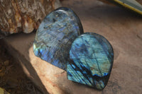 Polished Flashy Labradorite Standing Free Forms  x 2 From Tulear, Madagascar - Toprock Gemstones and Minerals 