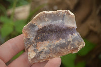 Natural Amethyst & Crystal Centred Geodes  x 12 From Zululand, South Africa - TopRock