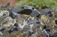 Natural Black Tourmaline Specimen With Hyalite Opal x 1 From Erongo Mountains, Namibia - TopRock