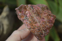 Natural Rough Red Rhodonite Specimens x 6 From Zimbabwe