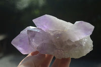 Natural Jacaranda Amethyst Clusters  x 3 From Mumbwa, Zambia - Toprock Gemstones and Minerals 