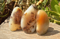 Polished Trio Of Dendritic Agate Standing Free Forms  x 3 From Moralambo, Madagascar - TopRock