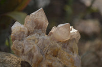 Natural Cascading Smokey Quartz Clusters x 2 From Luena, Congo