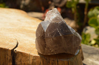 Natural Smokey Quartz Crystal With Polished Terminations  x 1 From Mt. Mulanje, Malawi - TopRock