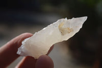 Natural Drusy Quartz Coated Fluorescent Calcite Spearhead Crystals x 21 From Alberts Mountain, Lesotho