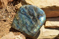 Polished Labradorite Standing Free Forms With Intense Blue Flash x 2 From Sakoany, Madagascar - TopRock