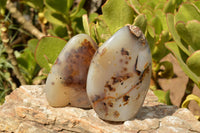 Polished Trio Of Dendritic Agate Standing Free Forms  x 3 From Moralambo, Madagascar - TopRock