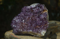 Natural Stunning Rare Deep Purple Spirit Amethyst Cluster  x 1 From Boekenhouthoek, South Africa - Toprock Gemstones and Minerals 