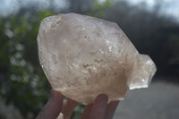 Polished Arcadian Quartz Crystals Points x 2 From Angola