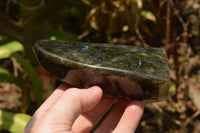 Polished Labradorite Standing Free Forms With Intense Blue & Gold Flash x 3 From Tulear, Madagascar - TopRock