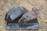 Natural Mixed Single Smokey Quartz Crystals  x 12 From Southern Africa - TopRock