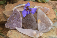 Polished Amethyst Agate Geode Specimens  x 6 From Maintirano, Madagascar - TopRock