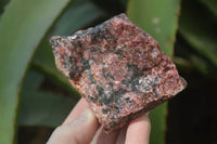 Natural Rough Red Rhodonite Specimens x 6 From Zimbabwe