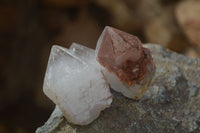 Natural Smokey Hematoid Quartz Crystals  x 35 From Madagascar