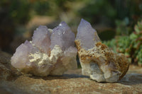 Natural Spirit Amethyst Quartz Clusters x 6 From Boekenhouthoek, South Africa