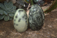 Polished Spotted Leopard Stone Standing Free Forms  x 6 From Zimbabwe