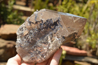 Natural Smokey Quartz Crystal With Polished Terminations  x 1 From Mt. Mulanje, Malawi - TopRock