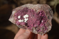 Natural Pink Salrose Cobaltion Dolomite Specimens x 6 From Kakanda, Congo