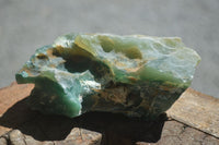 Natural Green Mtorolite / Chrome Chrysoprase Cutting Material  x 5 From Zimbabwe - Toprock Gemstones and Minerals 