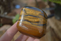 Polished Golden Tigers Eye Free Forms x 6 From Prieska, Northern Cape