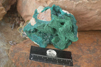 Natural Unique Dioptase & Bladed Malachite Specimen  x 1 From Likasi, Congo