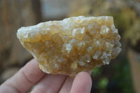 Natural Limonite Quartz Clusters x 12 From Solwezi, Zambia