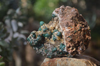 Natural Rare Ball Malachite On Drusy Quartz & Dolomite Specimens x 2 From Kambove, Congo